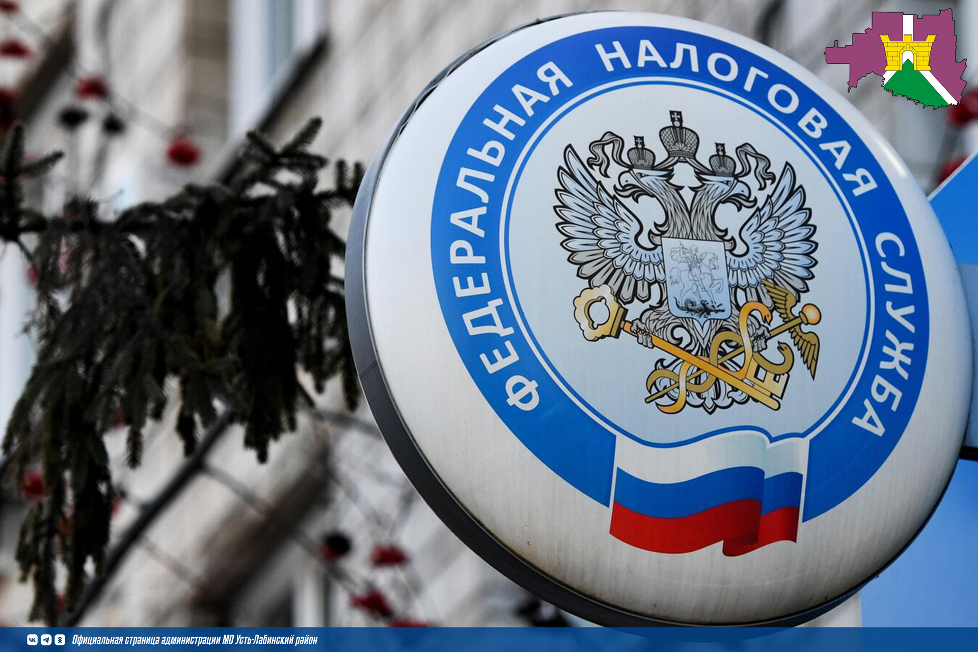 Сервисы ФНС России становятся удобнее