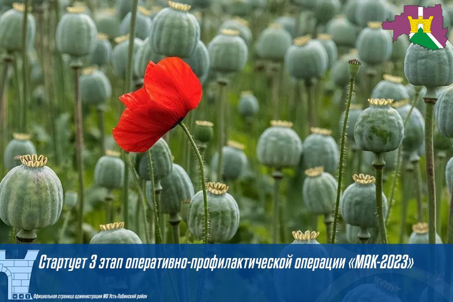 Стартует 3 этап оперативно - профилактической операции "МАК - 2023"