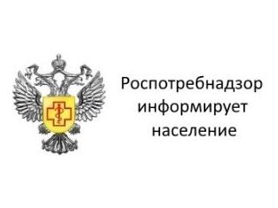 Выбираем сладкий новогодний подарок