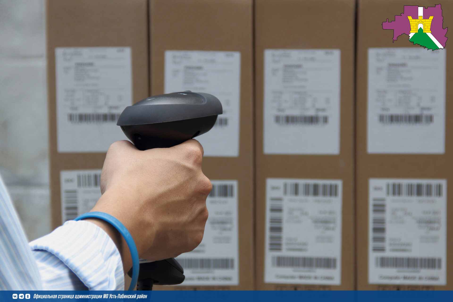 План мероприятий по маркировке ноябрь 2025