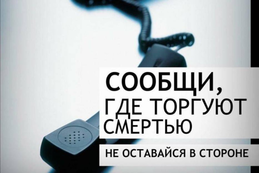  В Усть-Лабинском районе пройдёт второй этап акции