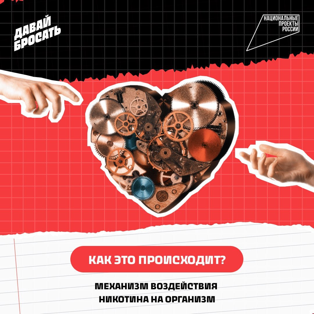 Никотин - это вредно.  А что именно происходит с организмом?