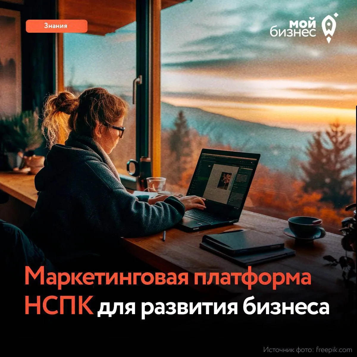 Как маркетинговая платформа НСПК помогает бизнесу расти? 