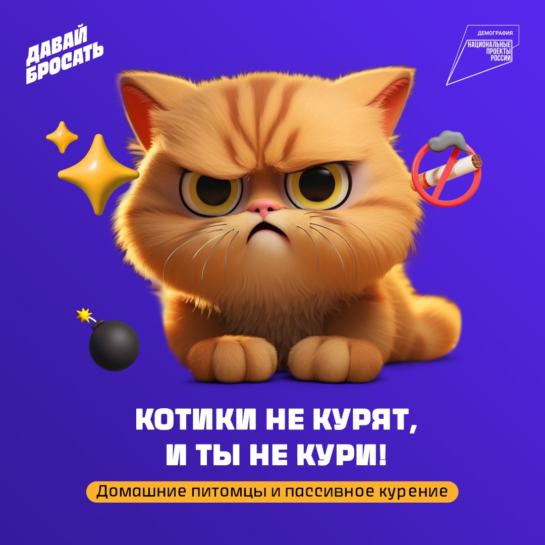 Счастливая жизнь хвостатого друга — ещё одна причина не курить!