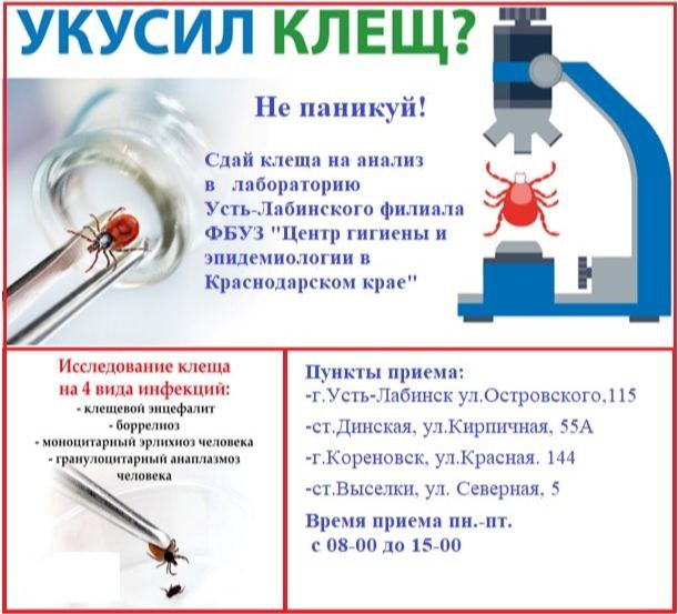 Укусил клещ? Не паникуй!
