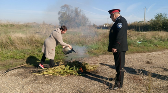 Рейды по выявлению дикорастущей конопли продолжаются