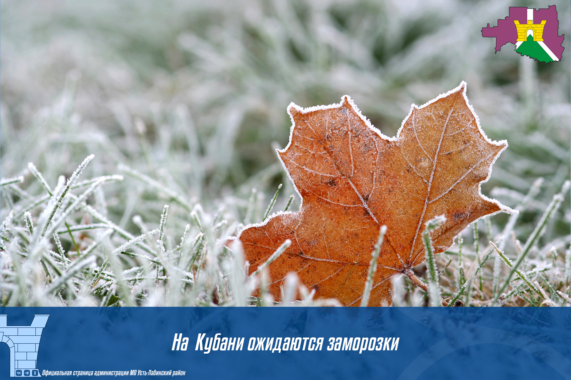 На  Кубани ожидаются заморозки