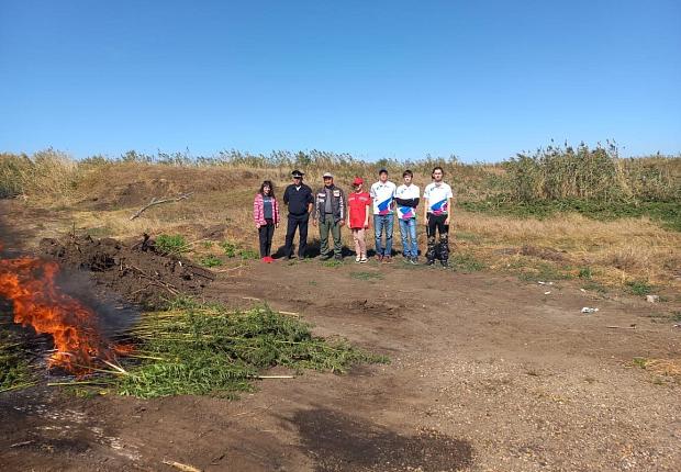 В Усть-Лабинске полицейские провели рейд по уничтожению дикорастущей конопли