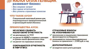 На территории Краснодарского края с 1 января 2025 года вводится специальный налоговый режим – Авто УСН