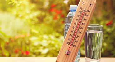 «Гигиенические рекомендации к питанию в условиях жаркой погоды»