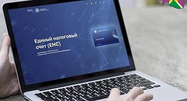 Переплата на ЕНС предпринимателей резервируется для уплаты имущественных налогов физических лиц