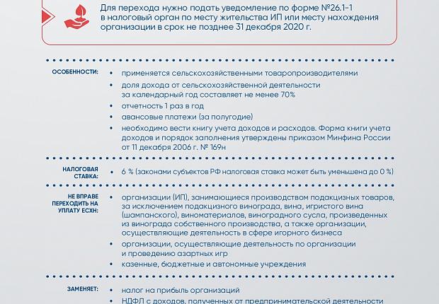 Устьлабинские предприниматели должны сделать выбор до конца года