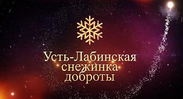 В Усть-Лабинском районе стартовала новогодняя акция