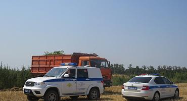 В Усть-Лабинском районе полицейские уничтожили более 11 тысяч кустов дикорастущей конопли